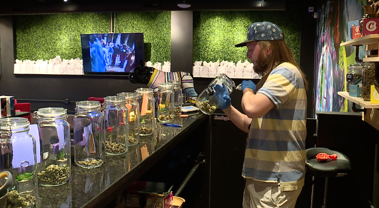 Missouri medical marijuana sales, jobs grow after 8 months as a legal industry - Vimarsana News
